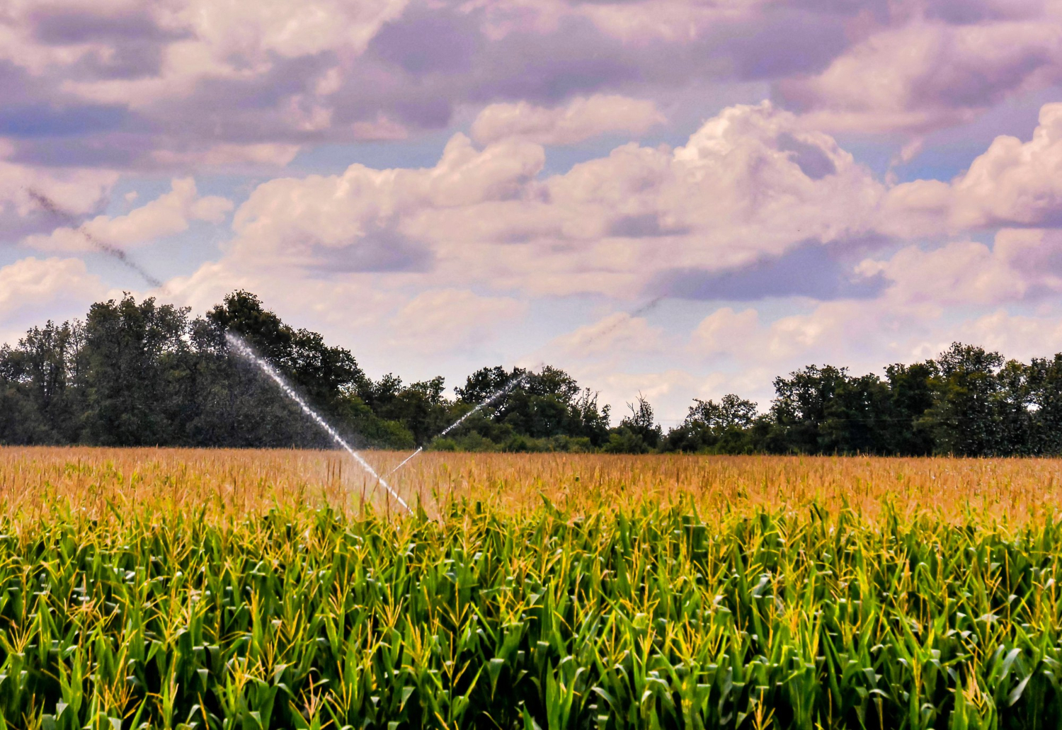 agricultural irrigation systems