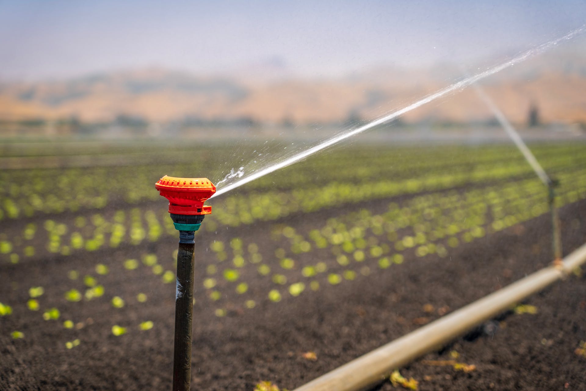drip system in agriculture