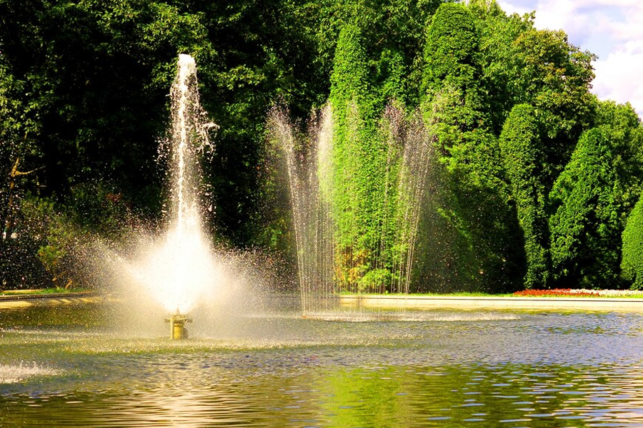 How to Choose the Right Aeration System for Your Large Lake or Pond