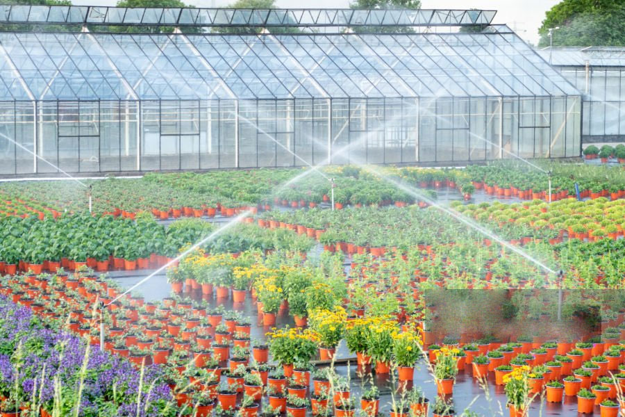 automatic watering system for greenhouse