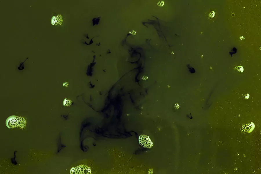 Ultrasonic Algae Control