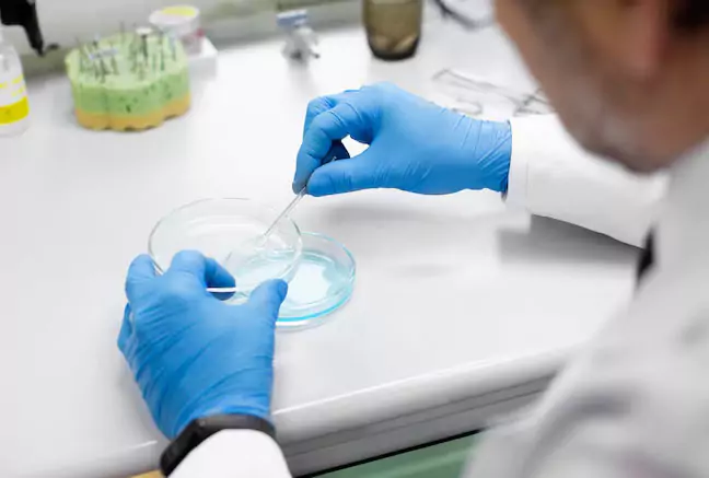Rapid Microbial Testing