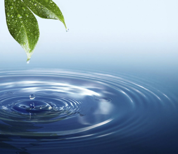 Filtration, Dosing & Accessories