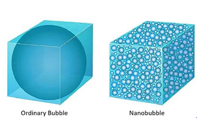 Genuine Puroxi Nano Bubble Nozzle