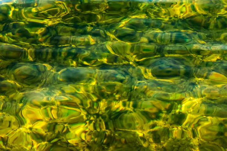 Ultrasonic algae water reservoirs