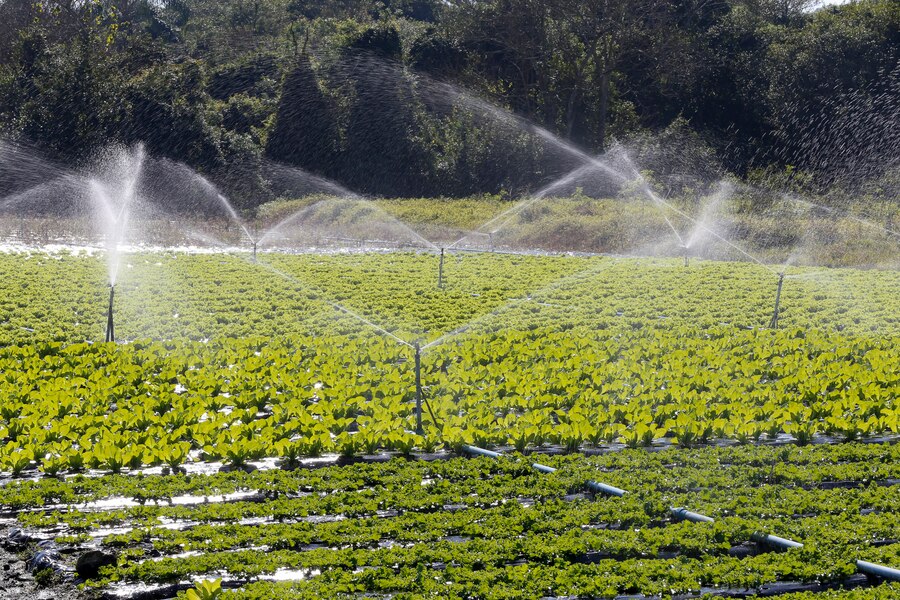 Agricultural irrigation sprinklers