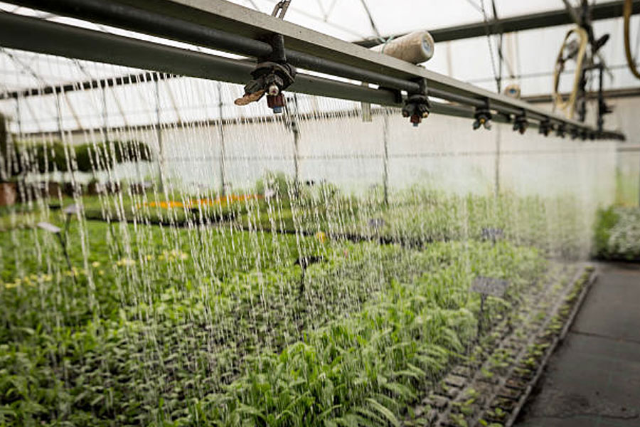 automatic greenhouse irrigation systems