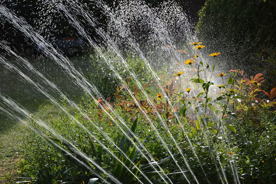 Garden drip watering system