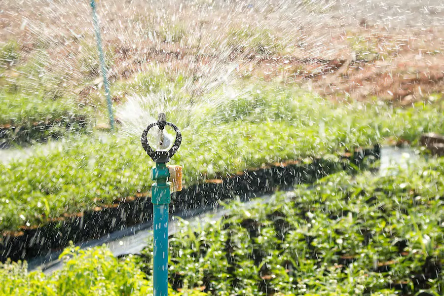 Garden drip irrigation system 