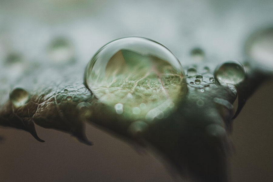 oxygen dissolution